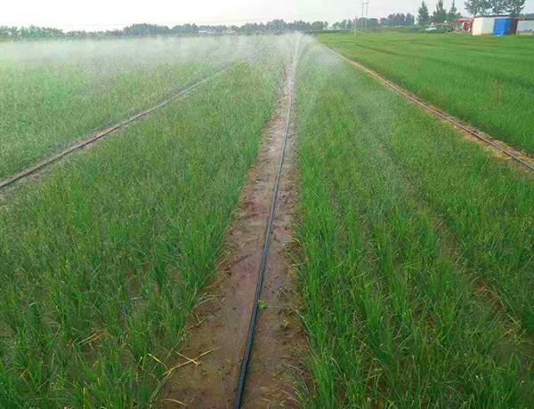 HDPE灌溉管安装实例
